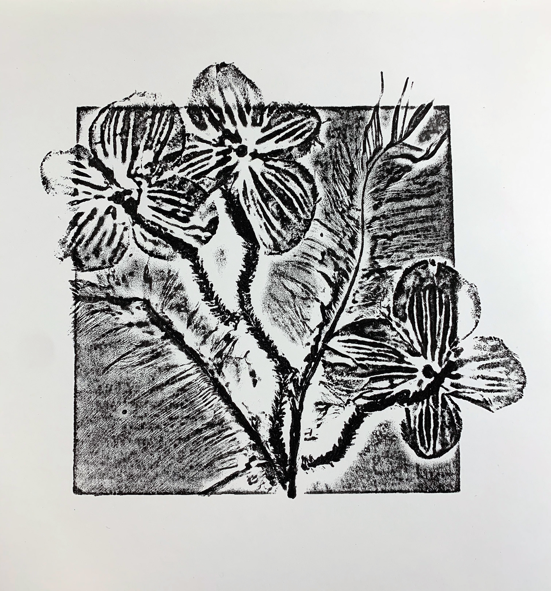 3/8 ED. Flower Power 2019 (Callagraph)