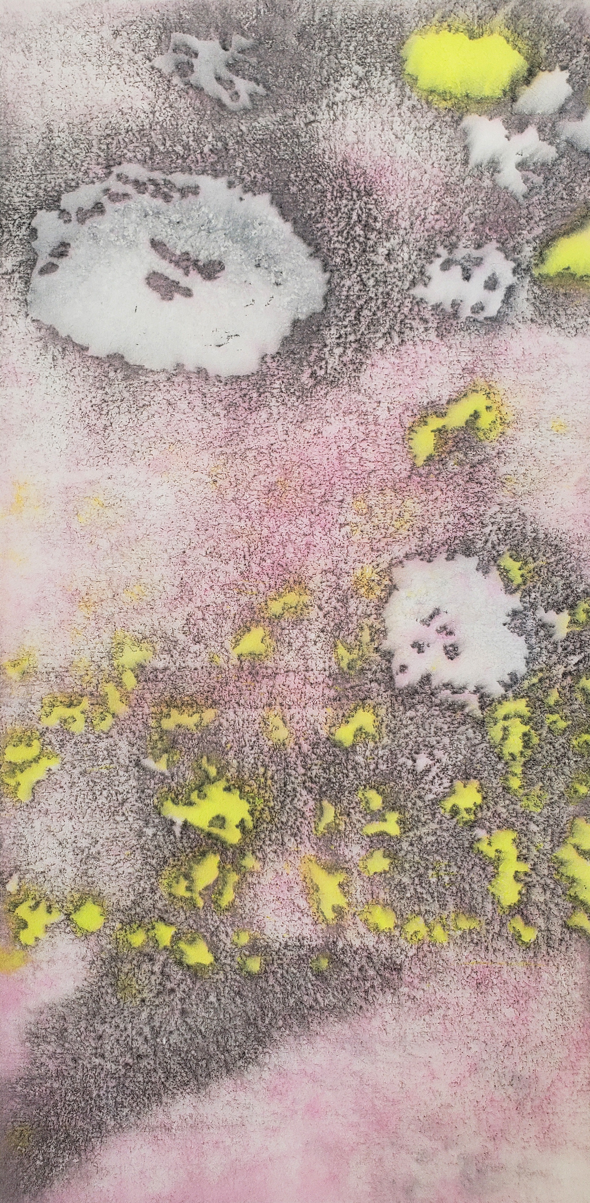 Uinta 6