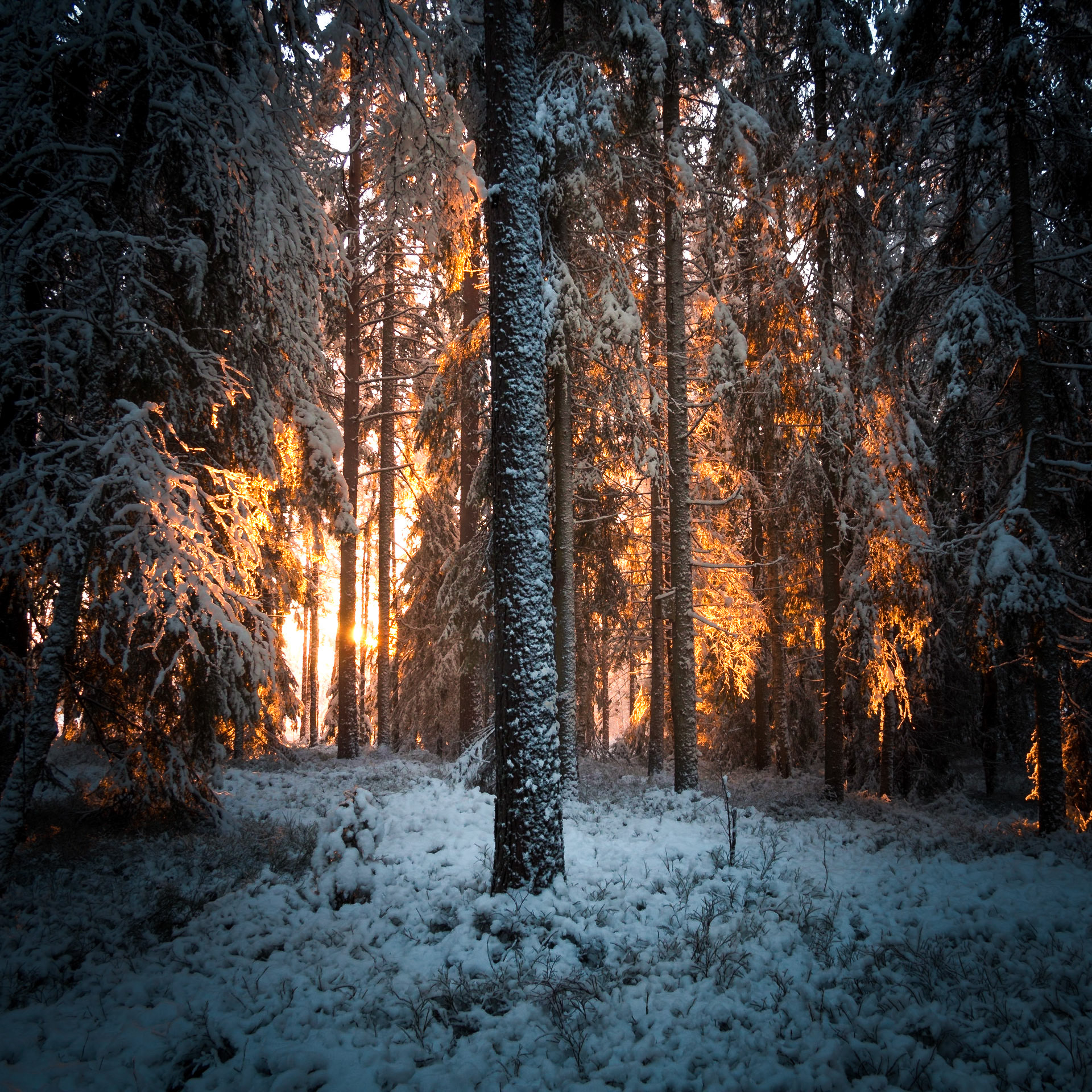 Umeå, Nordschweden
