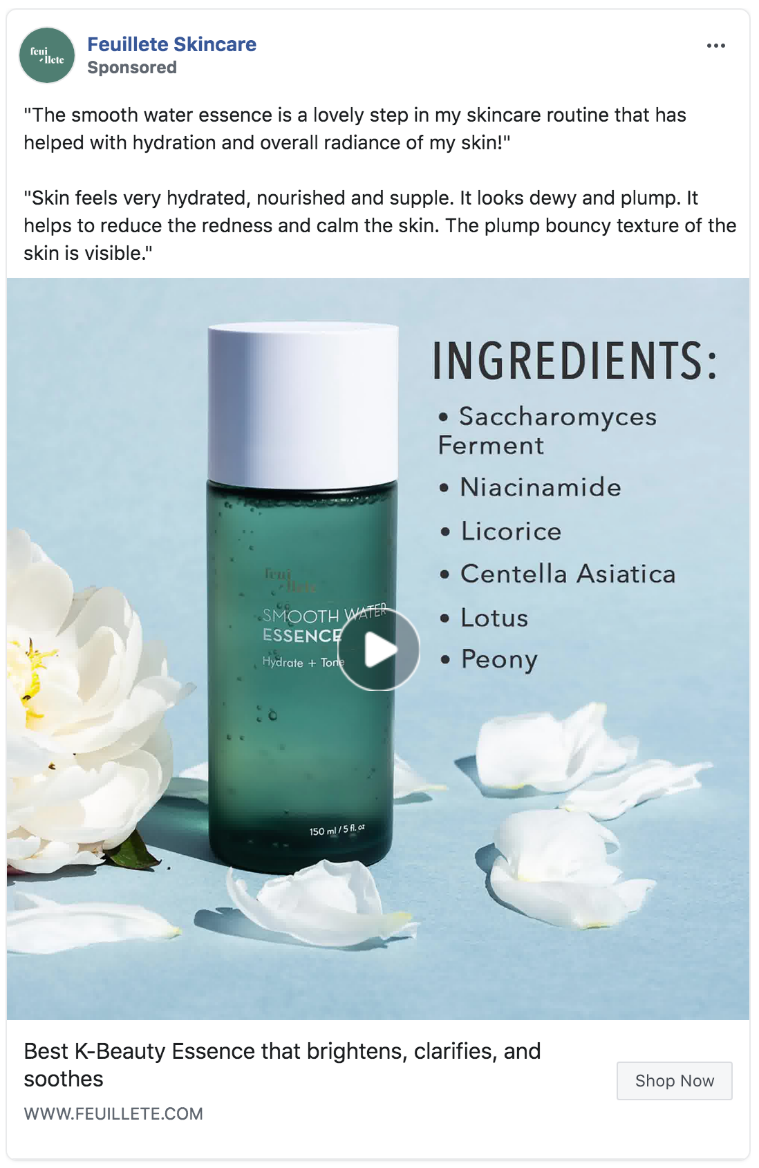 Feuillete Facebook Paid Advertising