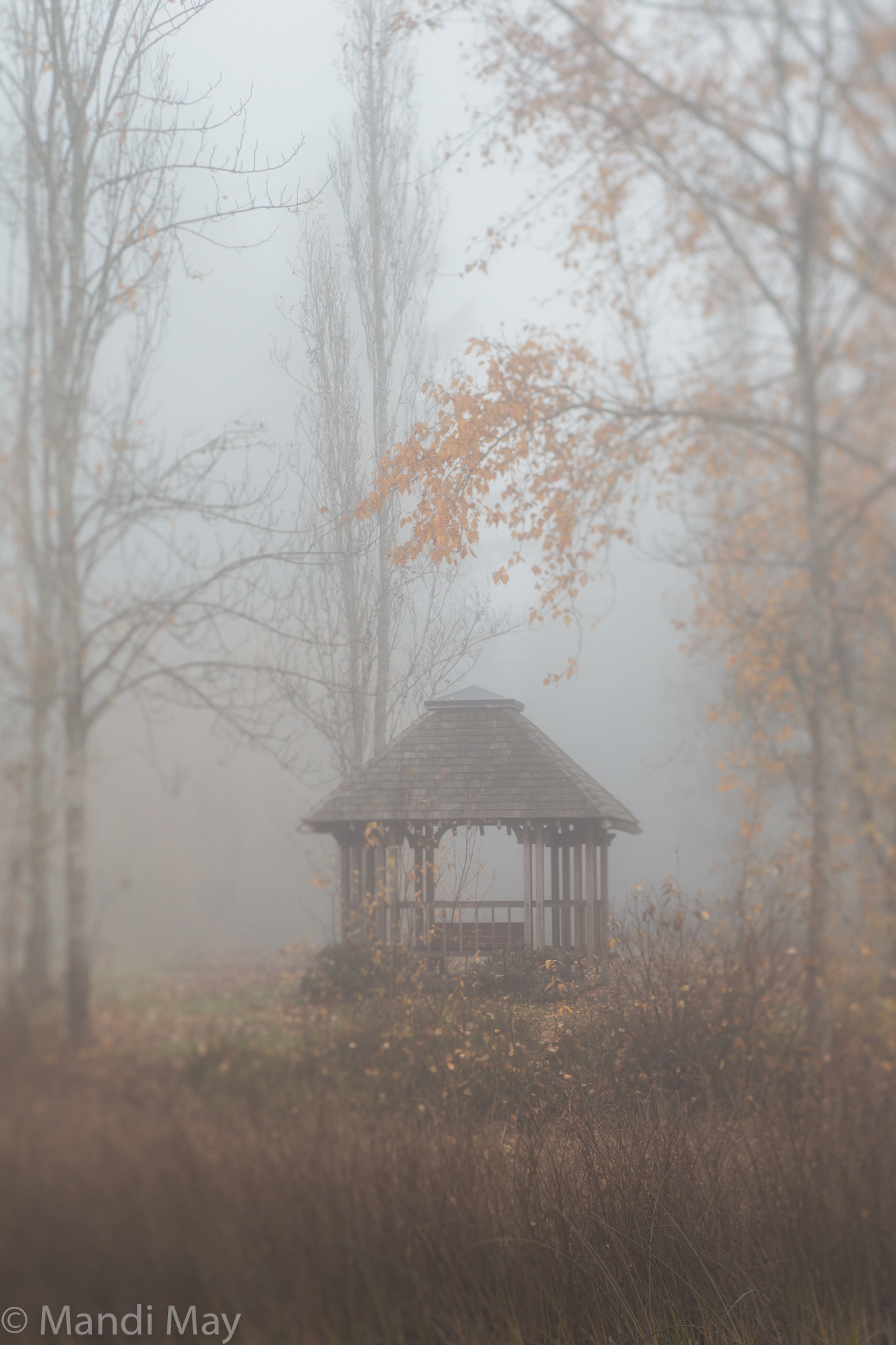 Gazebo