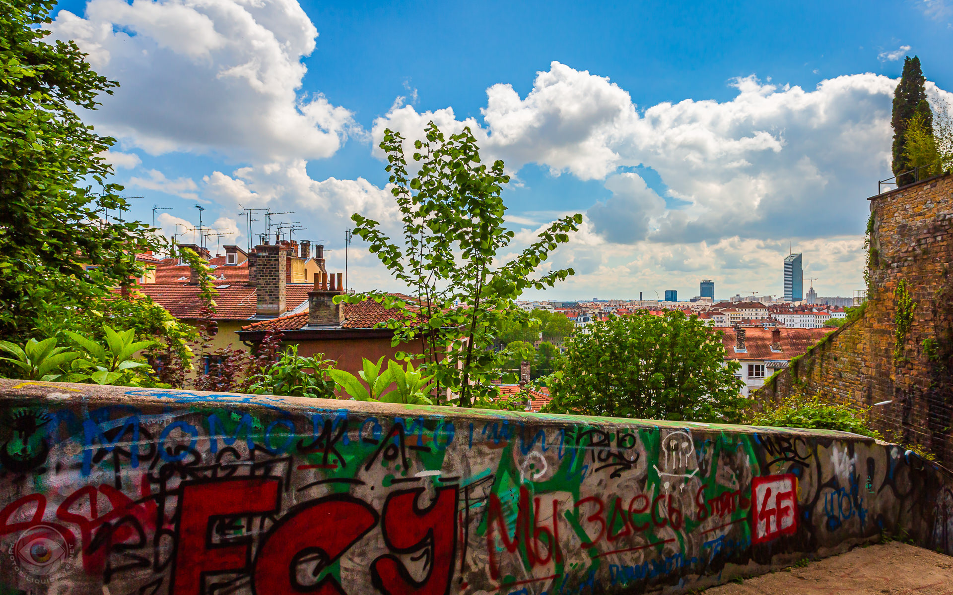 Lyon Skyline