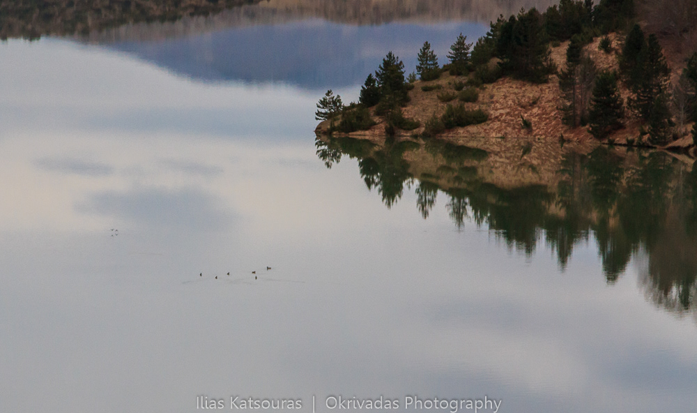 aoos,lake,epirus,greece,winter,αόος,λίμνη,ήπειρος,ελλάδα
