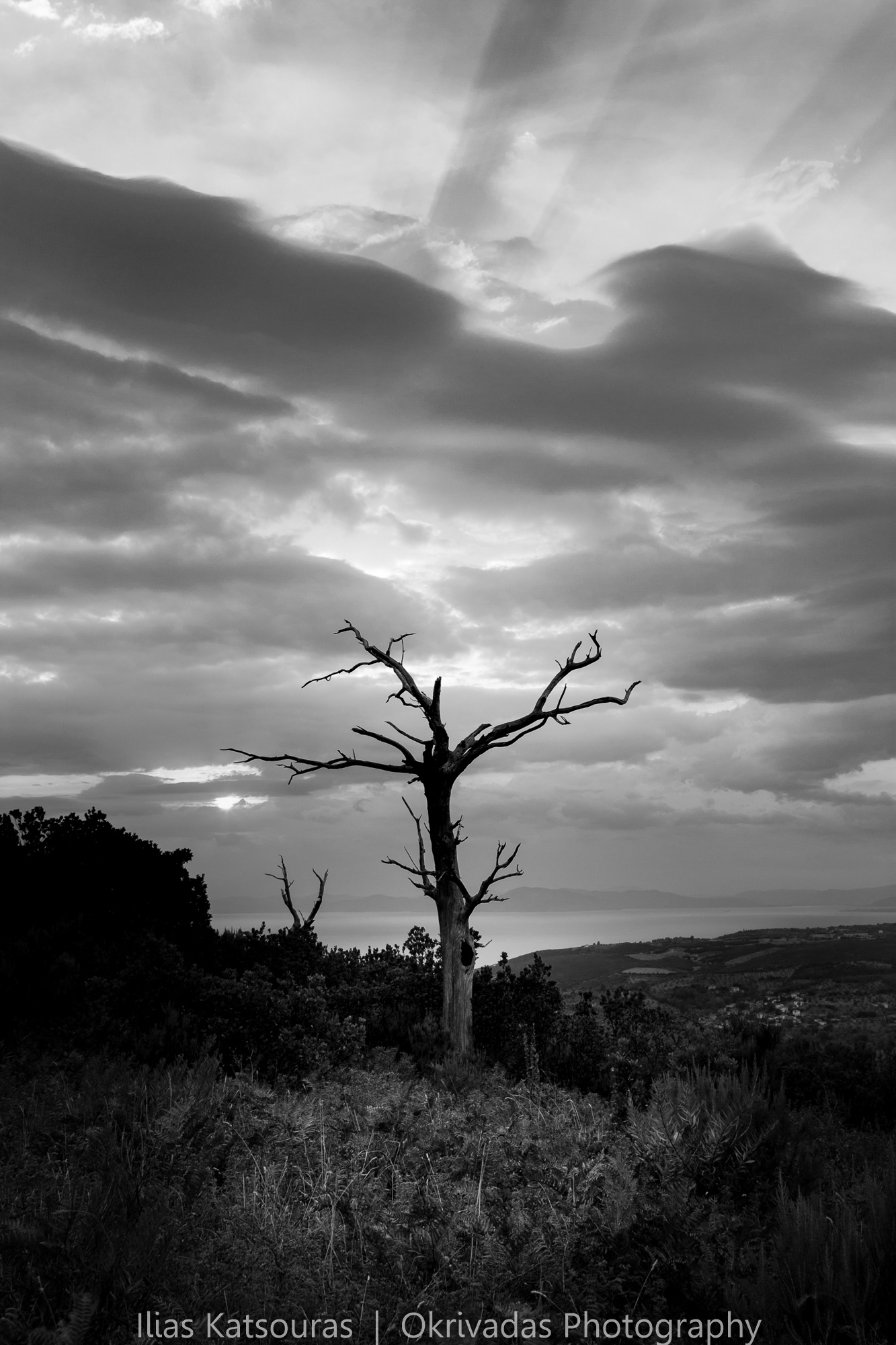 cross tree nature light pelion σταυρός δέντρο φύση φώς πήλιο