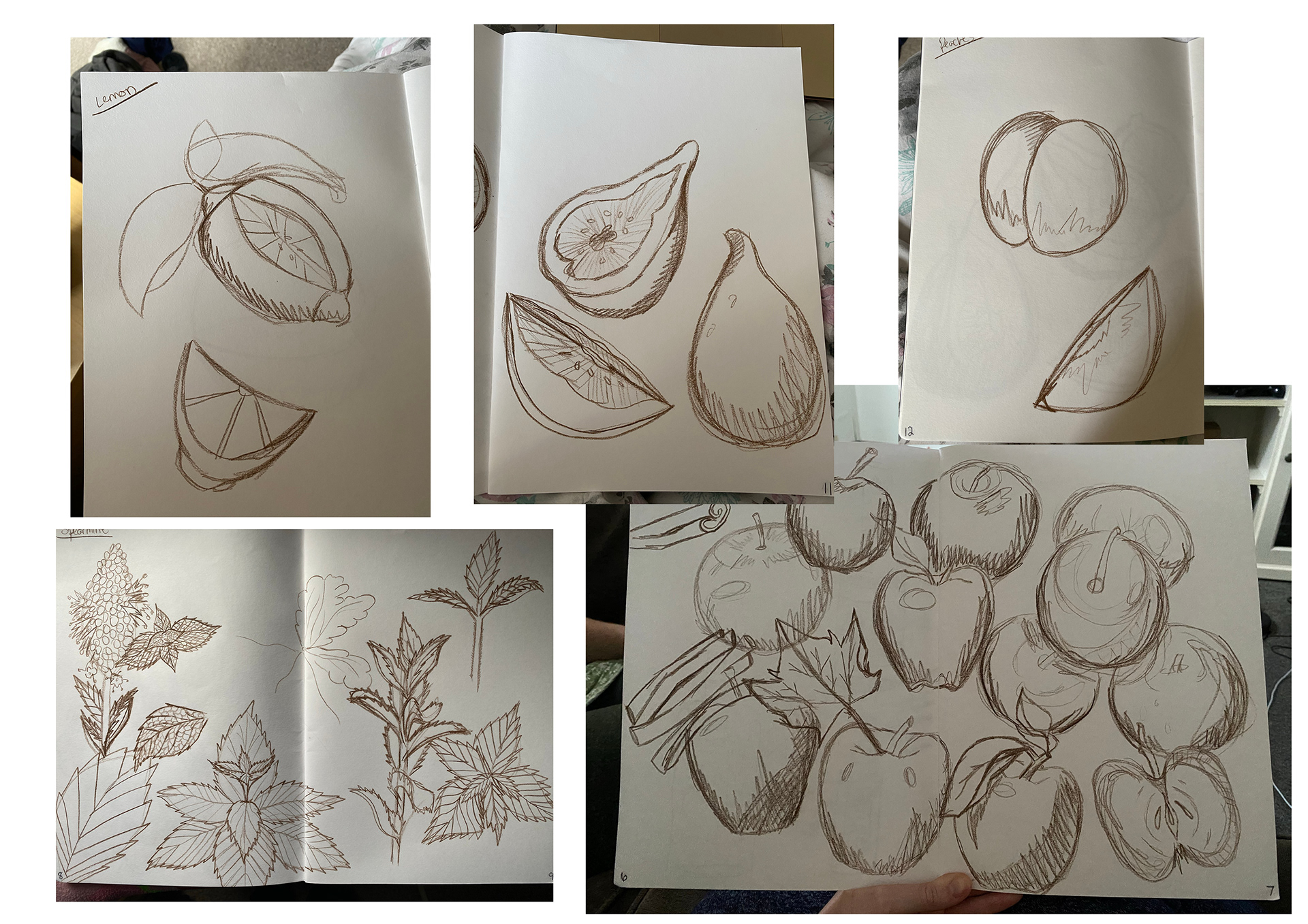 observational drawing