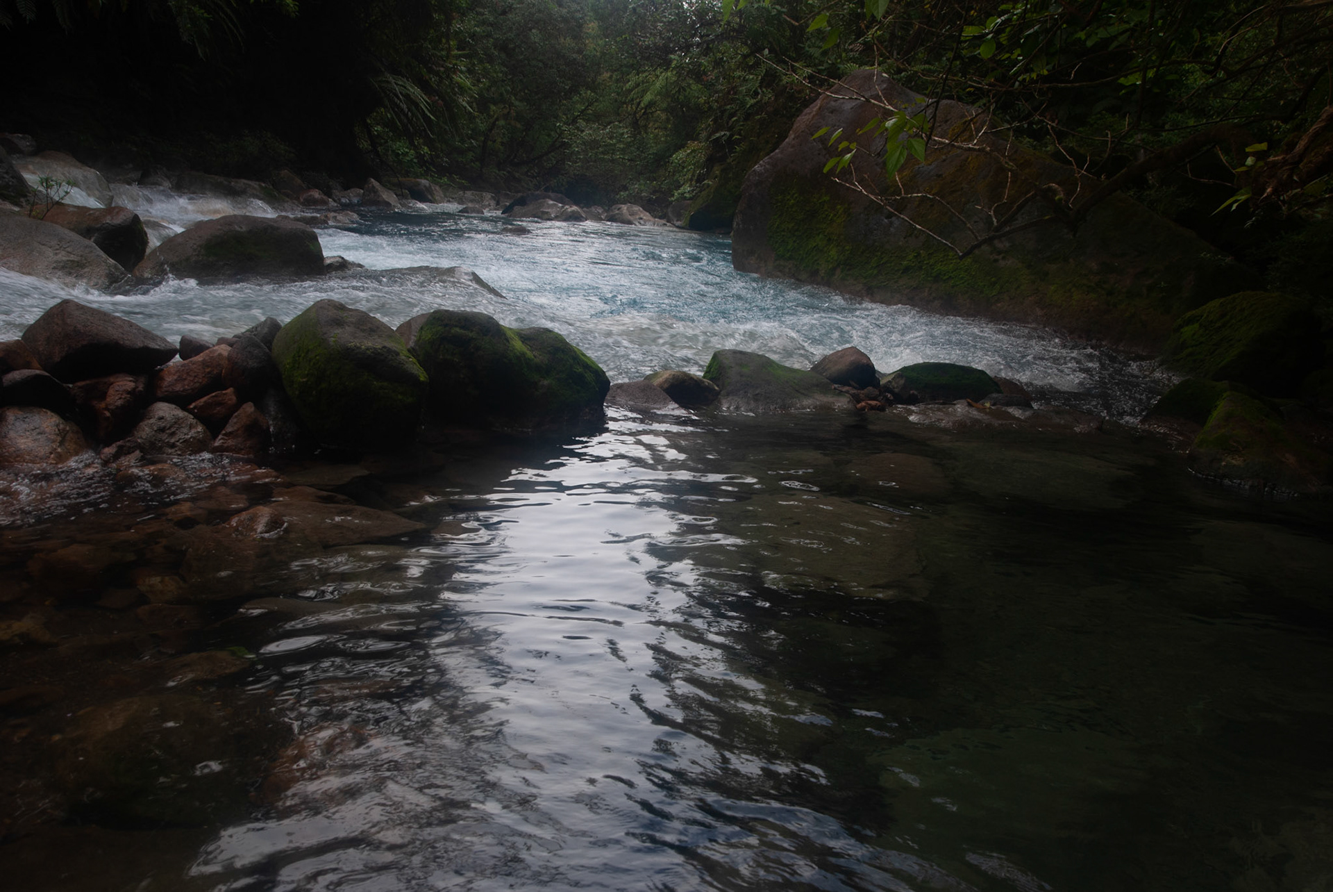 SONY DSC