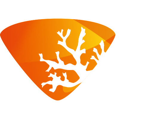 SENCKENBERG Projekt-Logo "Umwelt im Wandel - das schwarze Dreieck wird wieder bunt!"