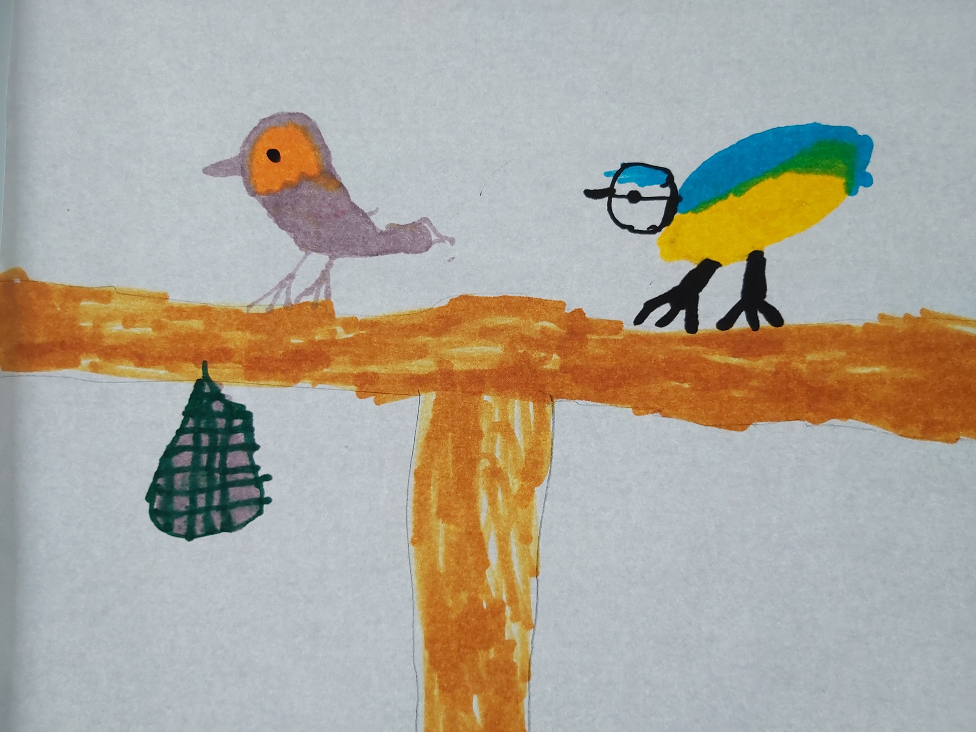 Roodborst en Pimpelmees