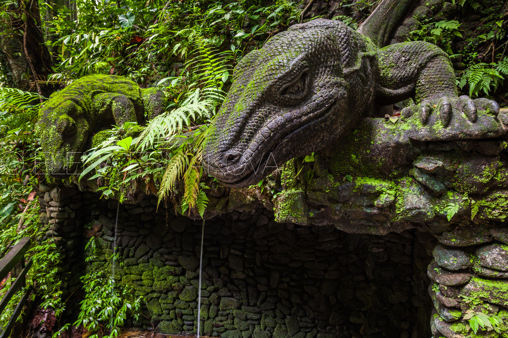 Giant Lizard in Sacred Monkey Forest Sanctuary, Ubud, Bali, Indonesia. Travel photography by Elena Ermakova.
