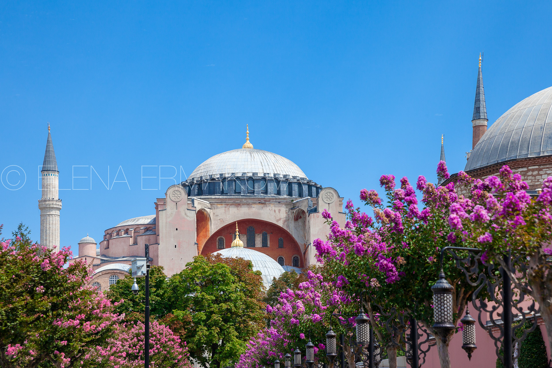The world's famous Hagia Sophia museum with beautiful flowers in Sultan Ahmet Park, Istanbul, Turkey