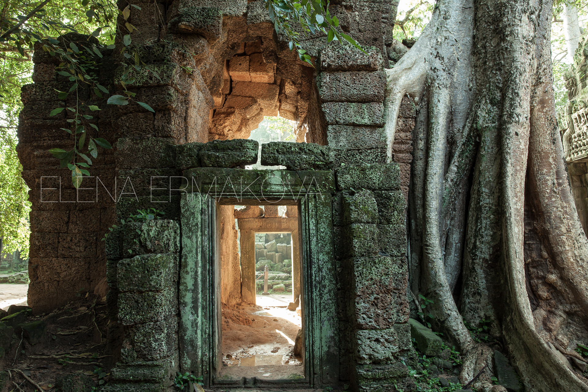 Ta Prom Temple, Angkor Historical Park, Siem Reap, Cambodia. Travel photography by Elena Ermakova.