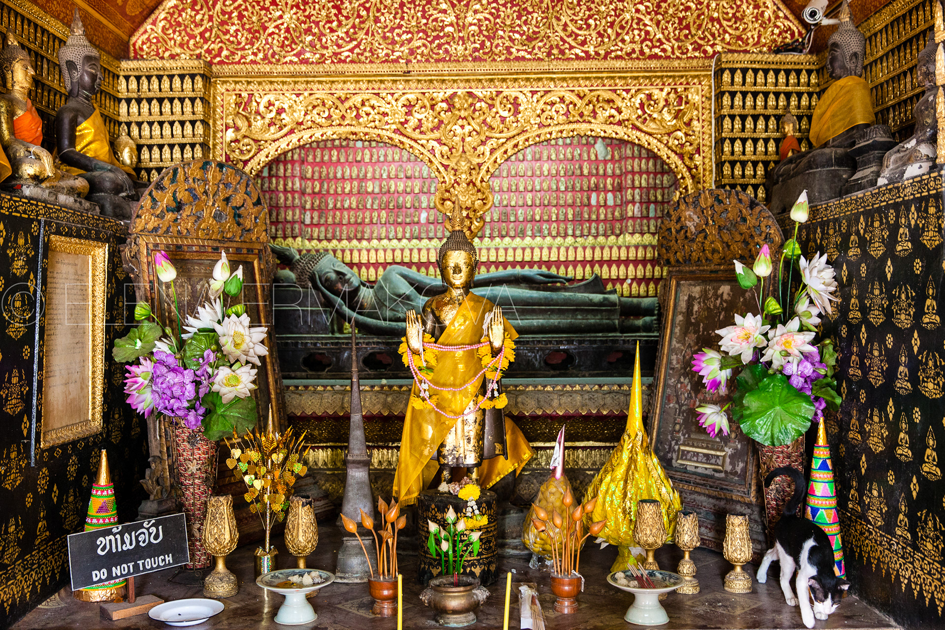 Rare ancient reclining Buddha statue at Wat Xieng Thong, Luang Prabang, Laos.
