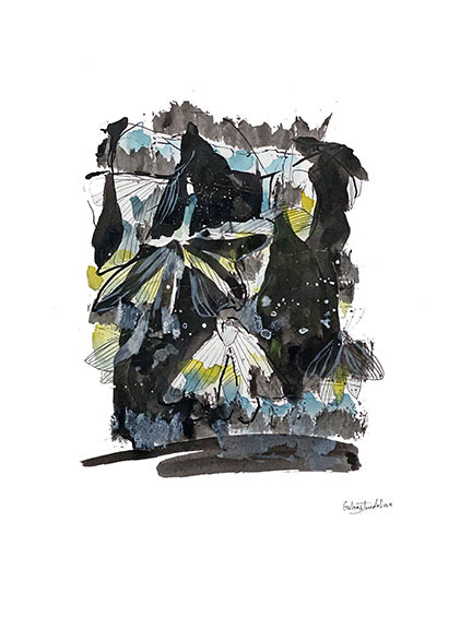 Hide & Moths, Ink and Watercolour