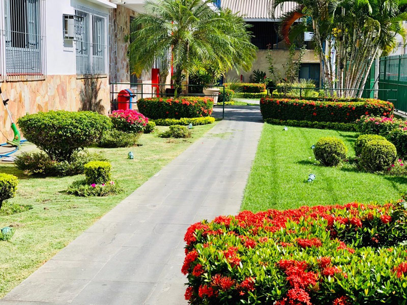 Jardim