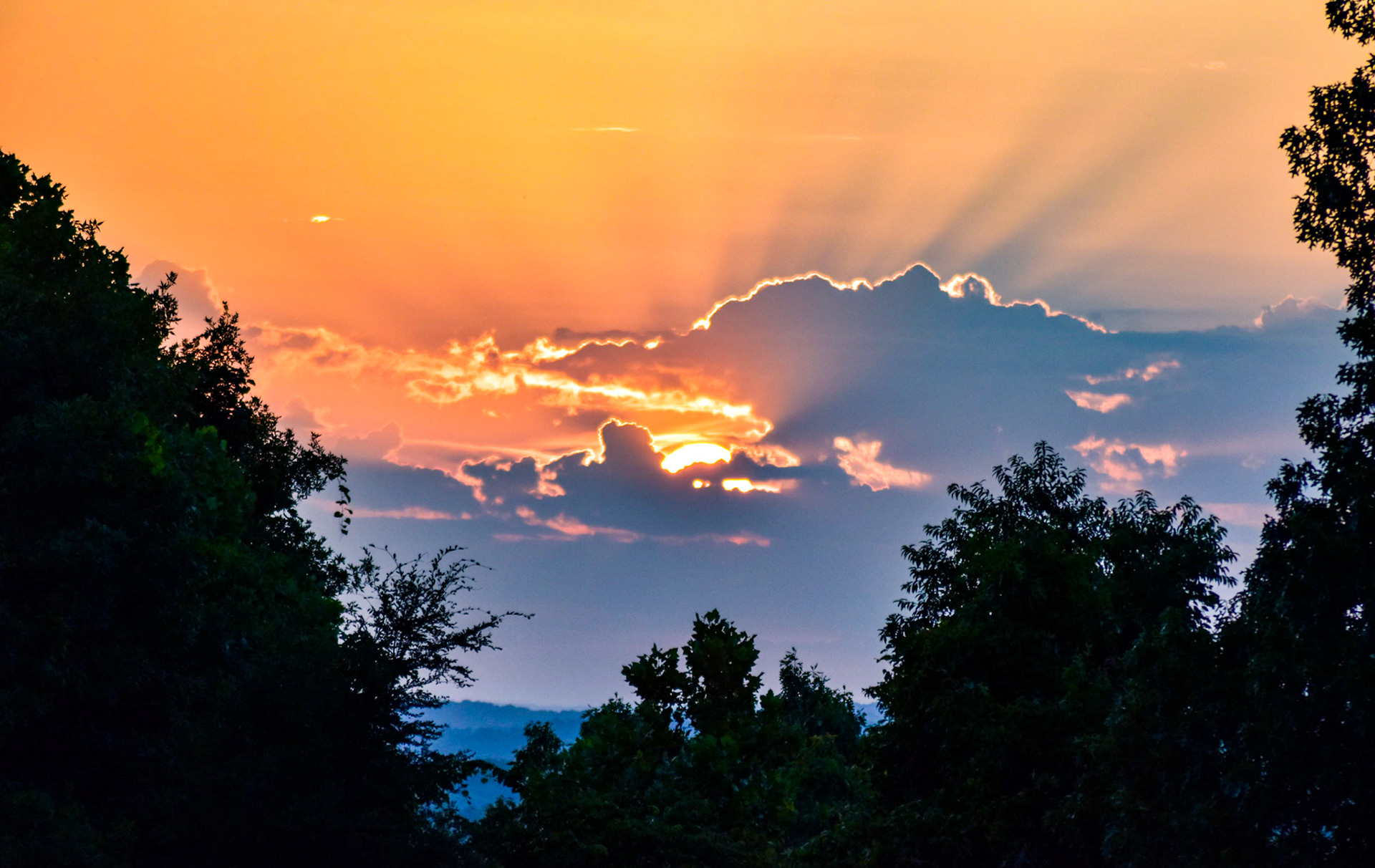 Rising Sun