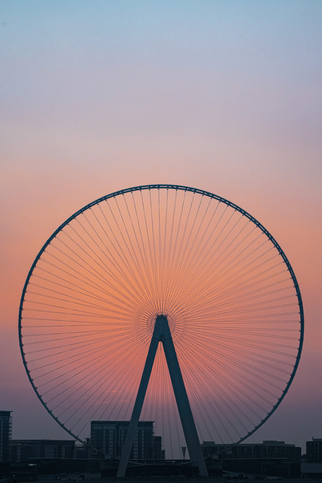 Dubai wheel at sunset. A giant wheel sillouhette
