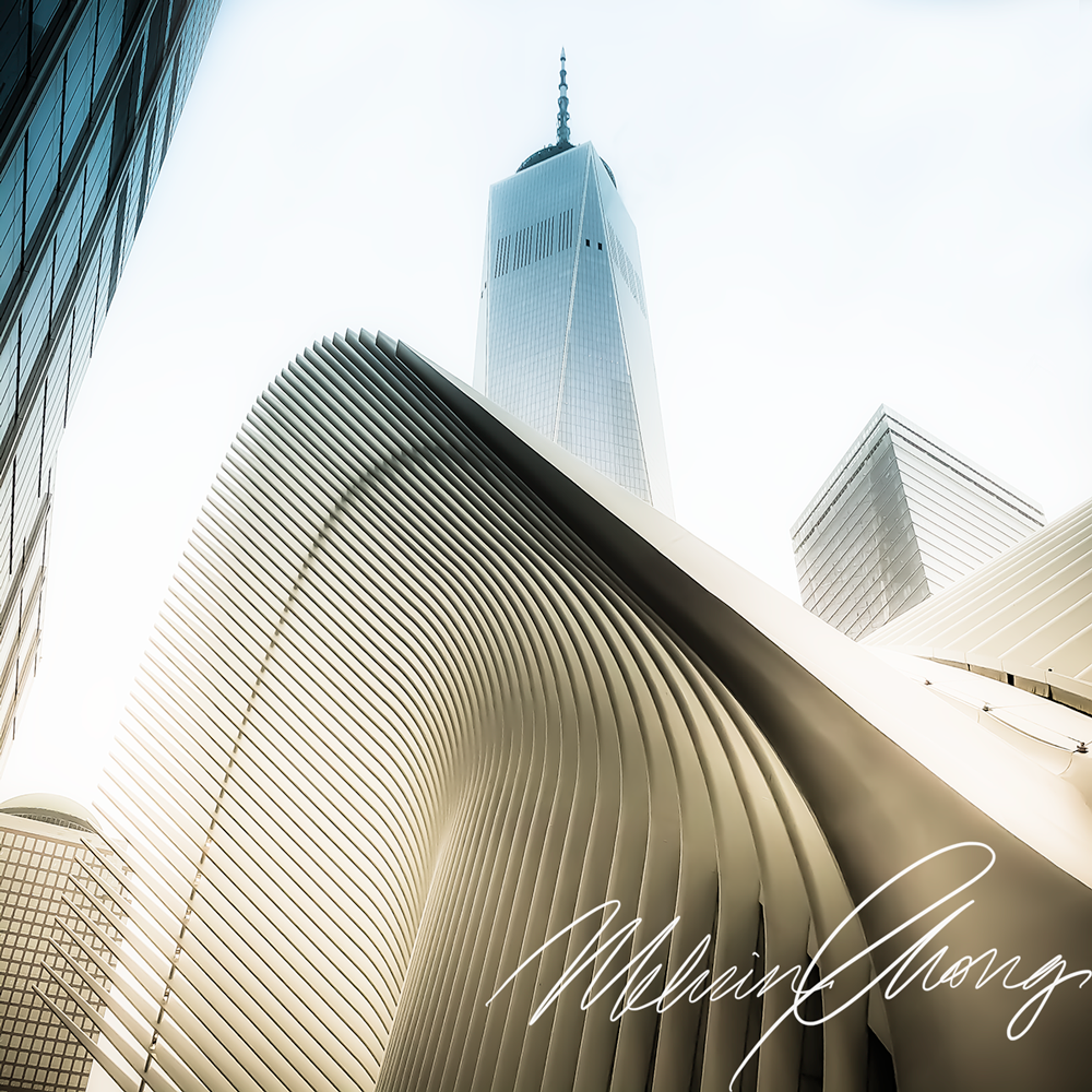 © 2019 | 2831