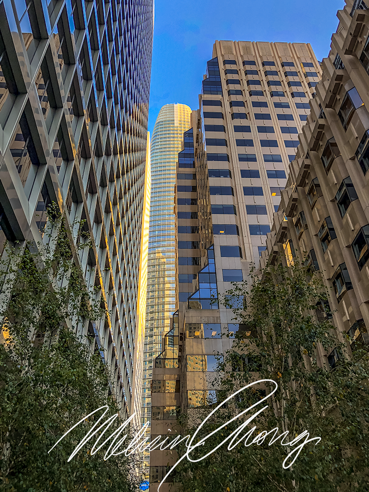 © 2019 | 1683