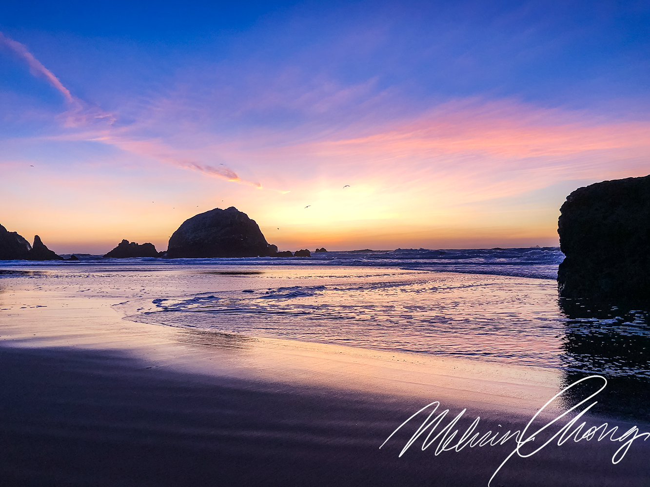 © 2019 | Sea Cliff Beach at Lands End Lookout 2090