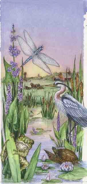 Evening Respite-watercolor