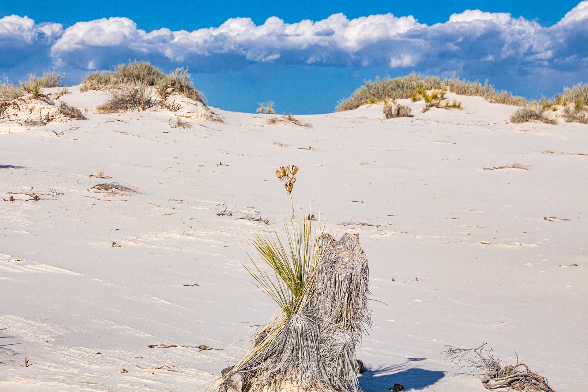 White Sands National Monument, NM