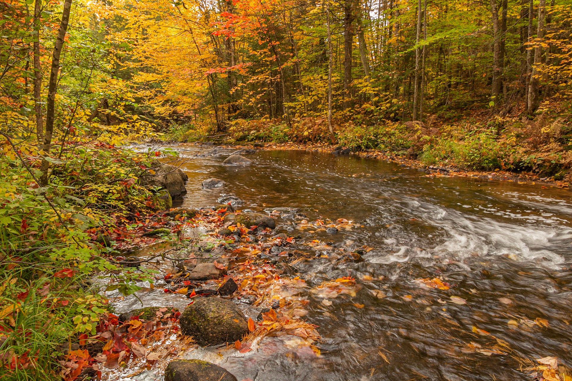 Rivière à l'eau Claire