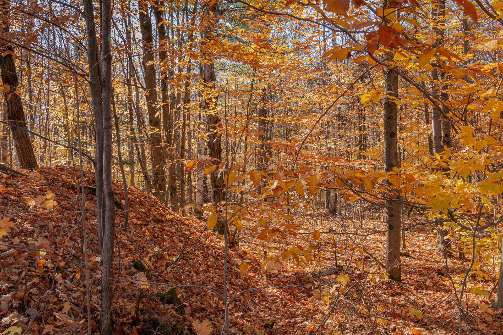 Sainte-Mélanie, Qc