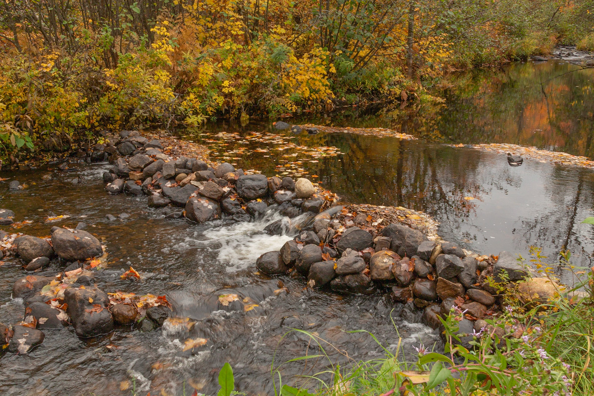 Rivière Noire