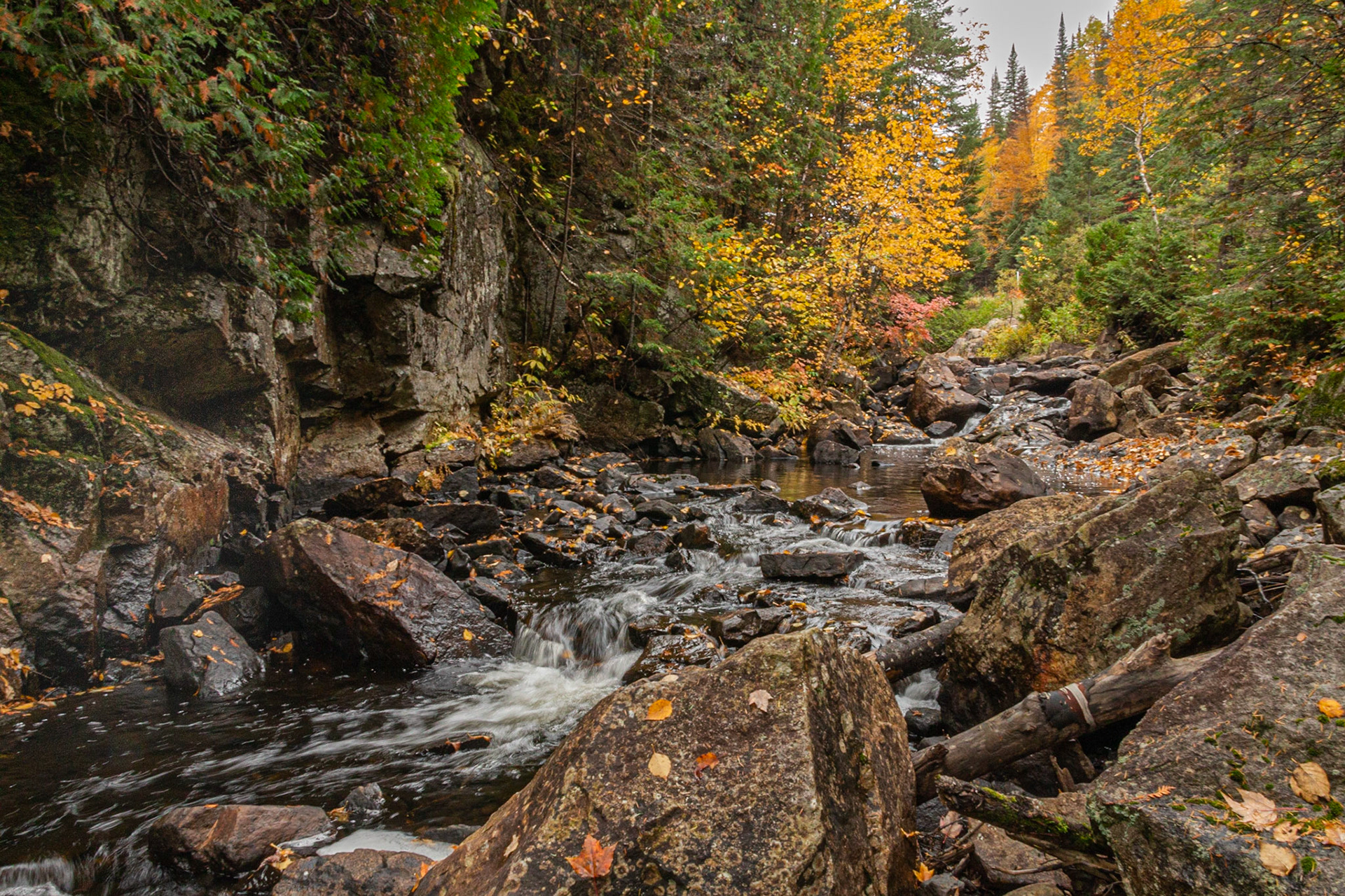 Rivière Noire