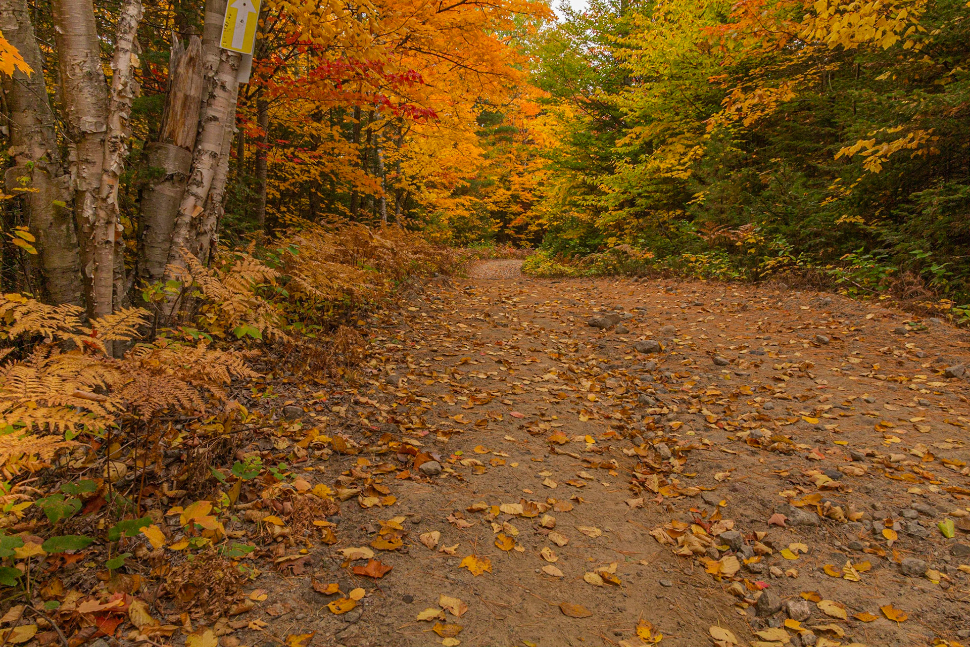 Lac à l'eau Claire