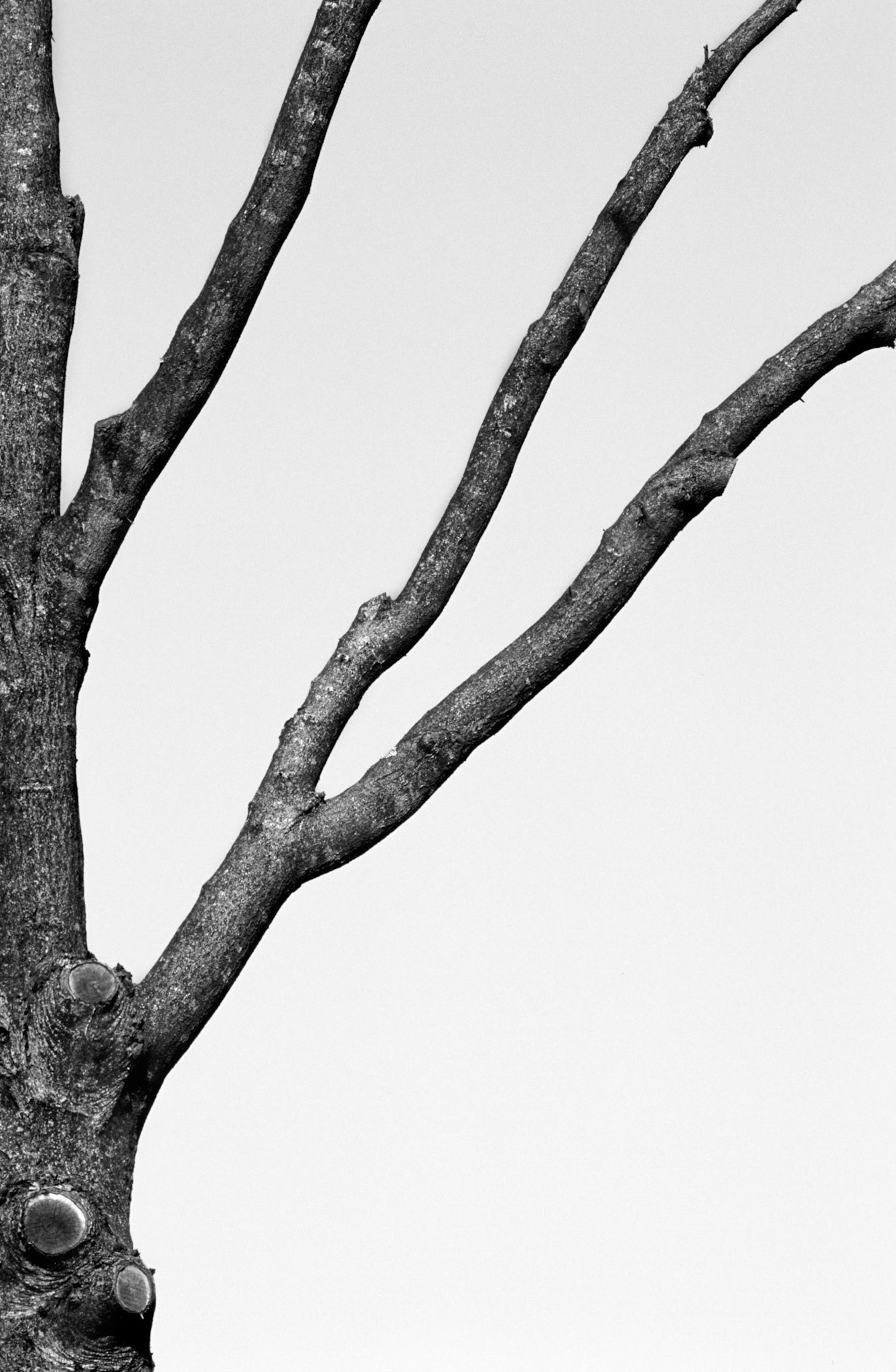 Suburban Landscape, Atlanta Georgia 2005