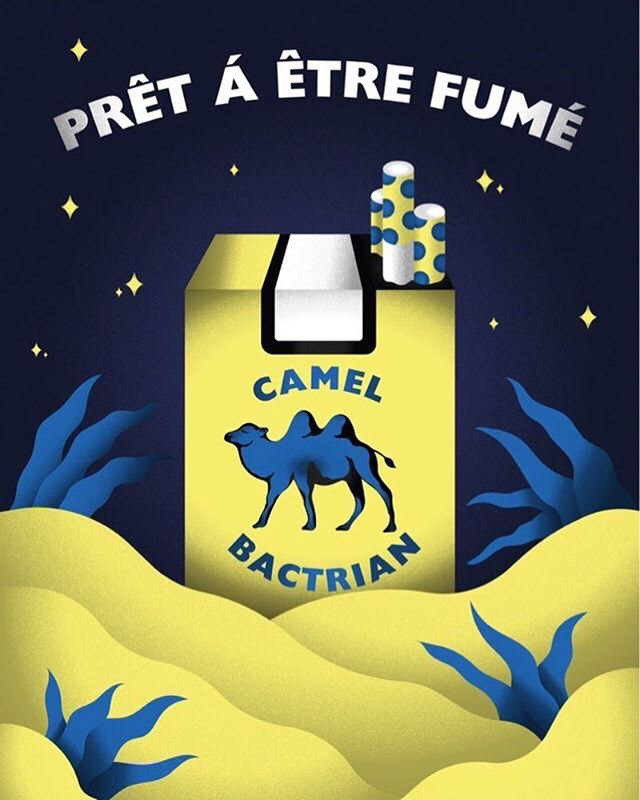 Wild Bactrian Camel / Camello Bactriano Salvaje - Sébastien Pastor