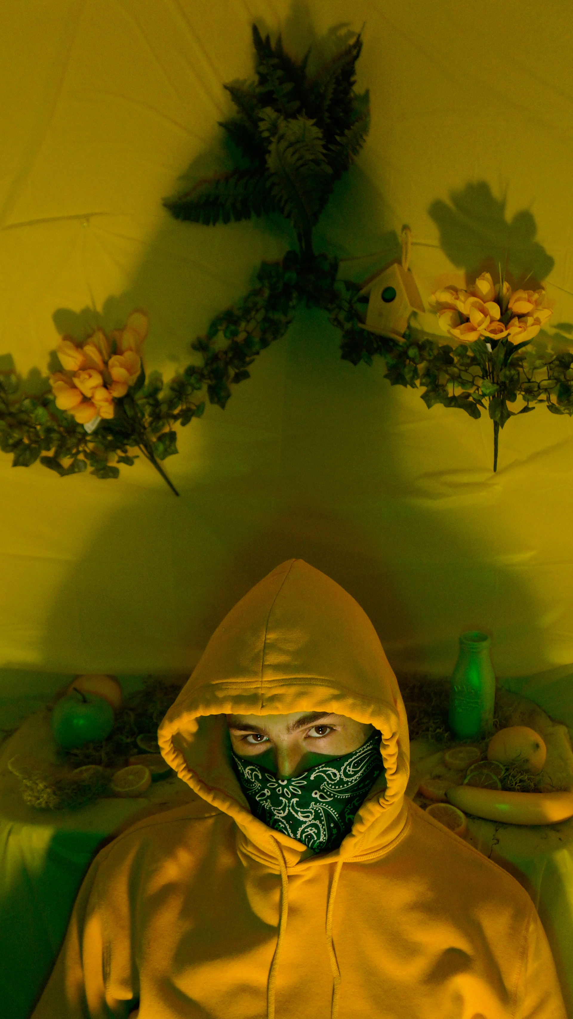 Analogous 1/2 (2020)