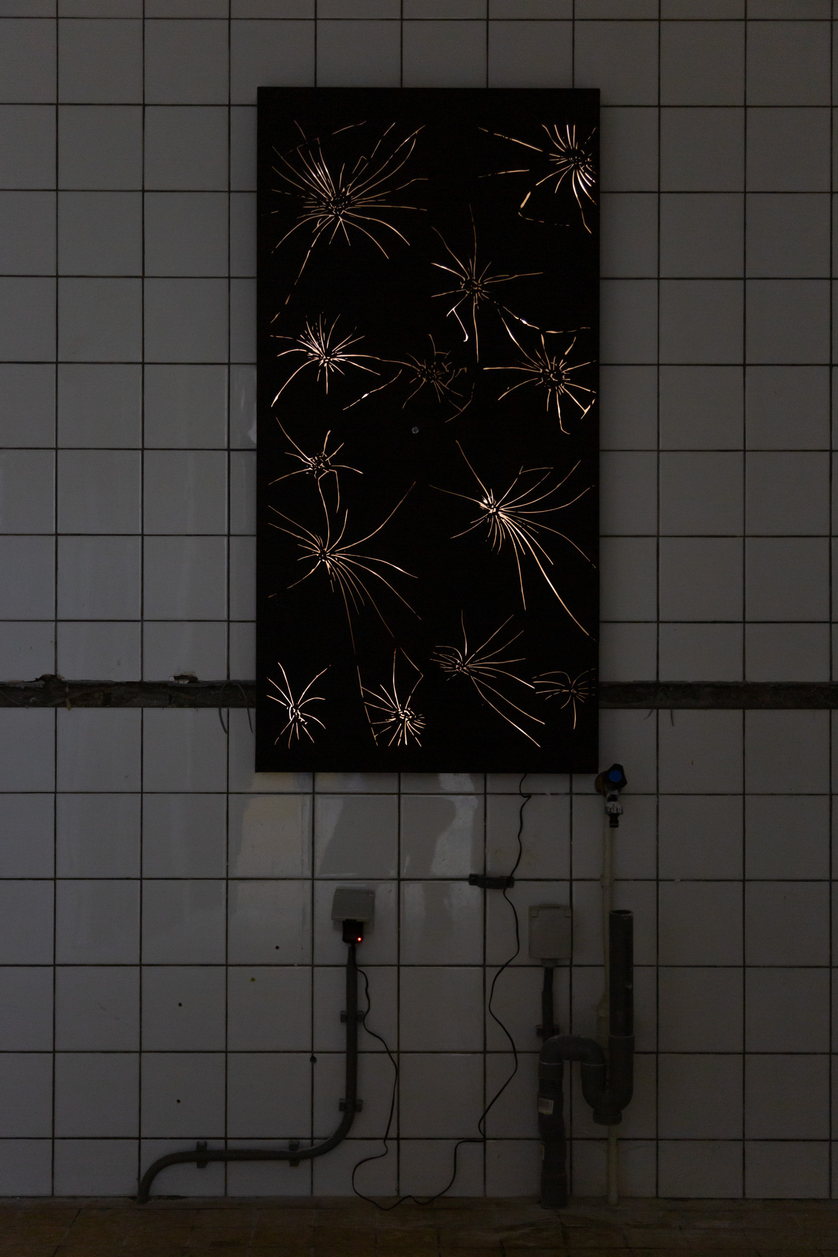 Monika Balu interactive installation cracks