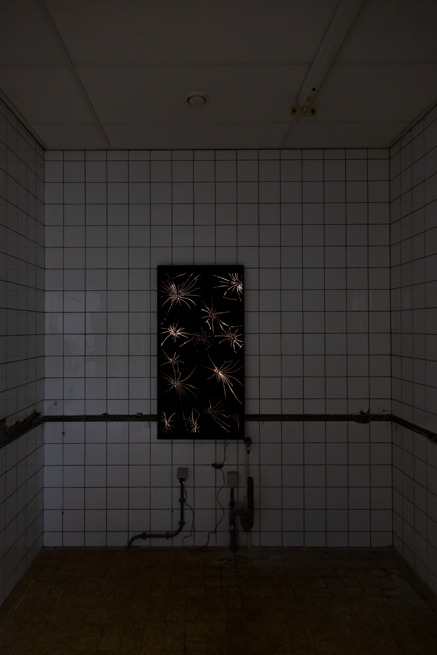 Monika Balu interactive installation cracks