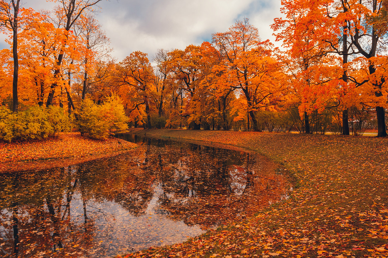 Danil Nikonov - Golden autumn. Pushkin, Saint-Petersburg, Russia