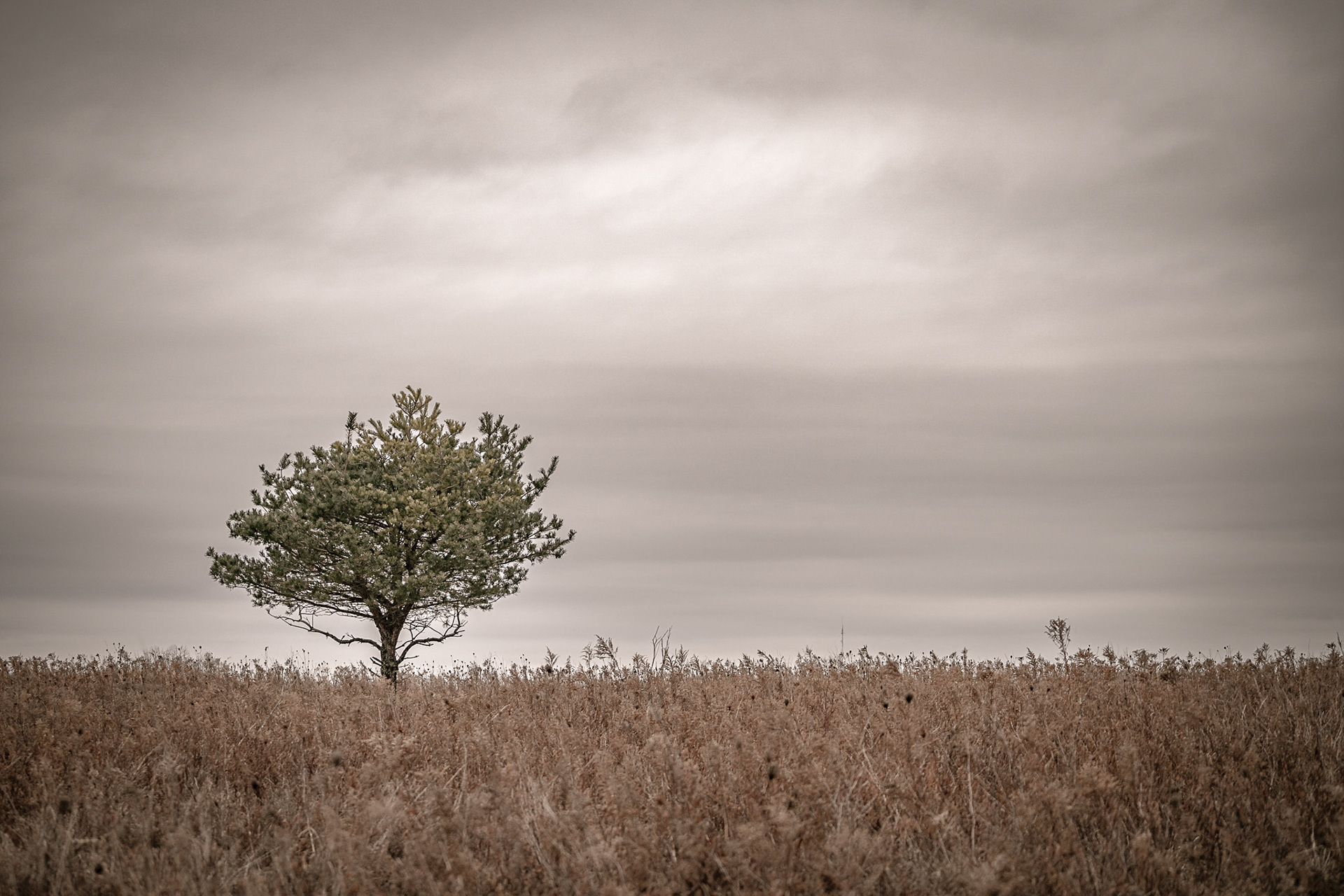 Lynde Shore Conservation Area