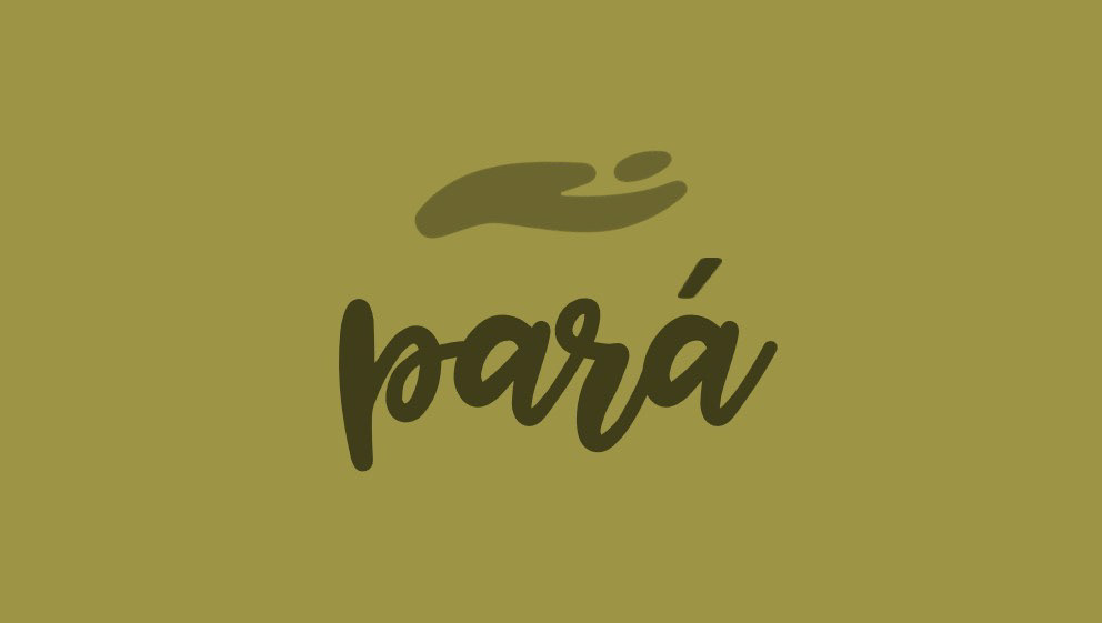 Logo & Brand Identity Design for Para Creams