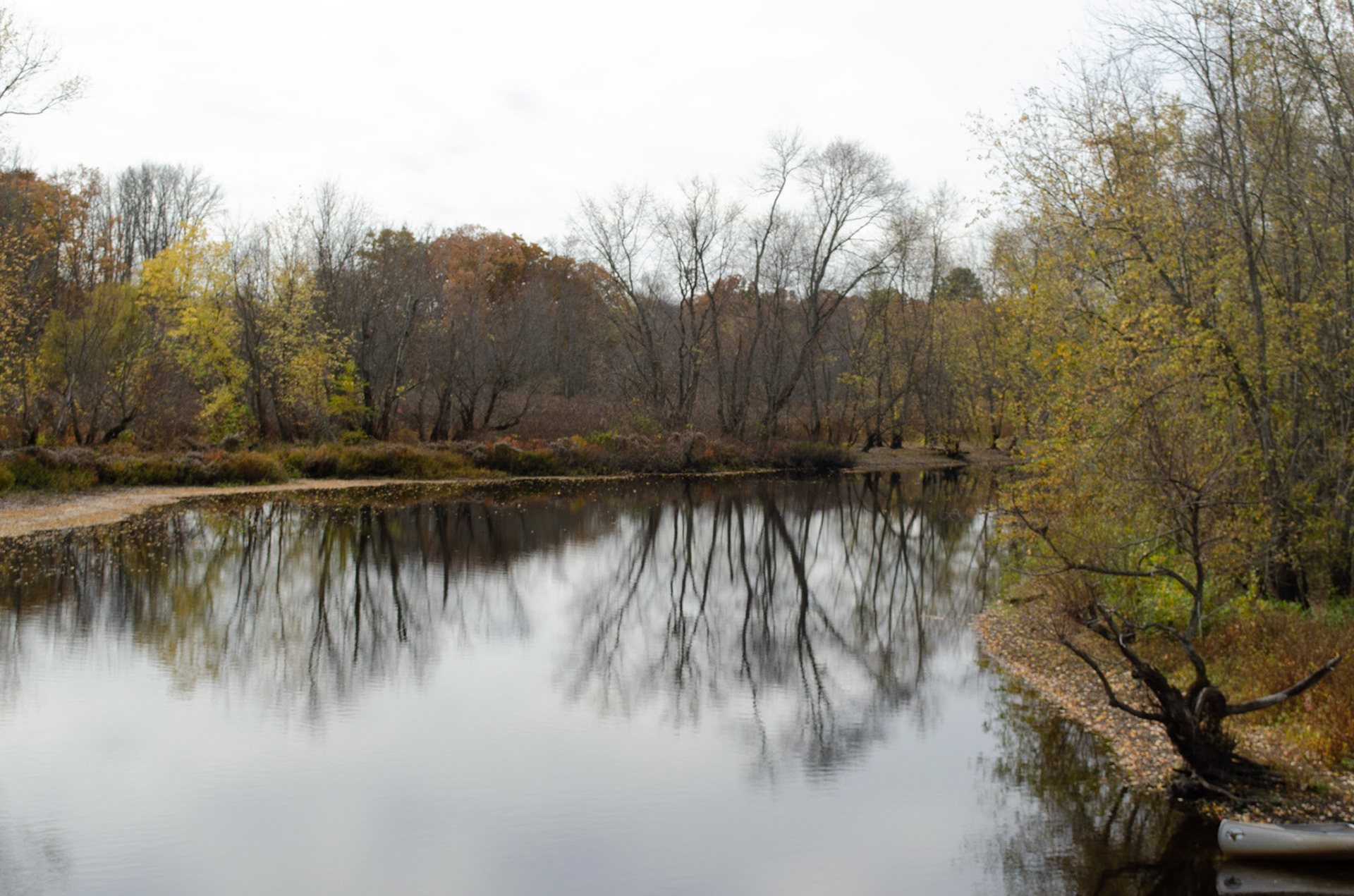 4. View of Concord River on Sunday, October 25, 2020. Photo by Hannah Lee. 1/250 f8 iso 400