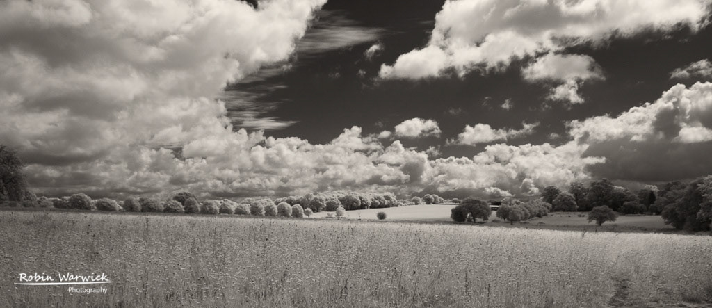 Frost Folly, Warfield