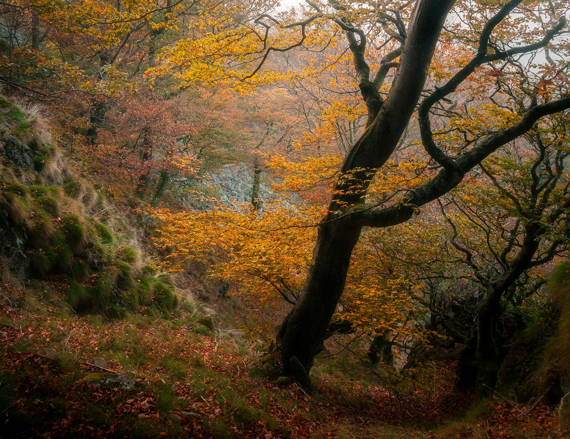 Herbst in der Rhön
