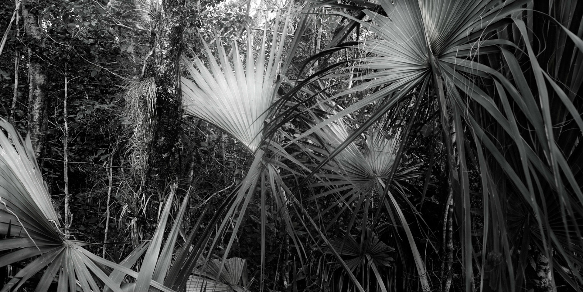 Everglades National Park, FL