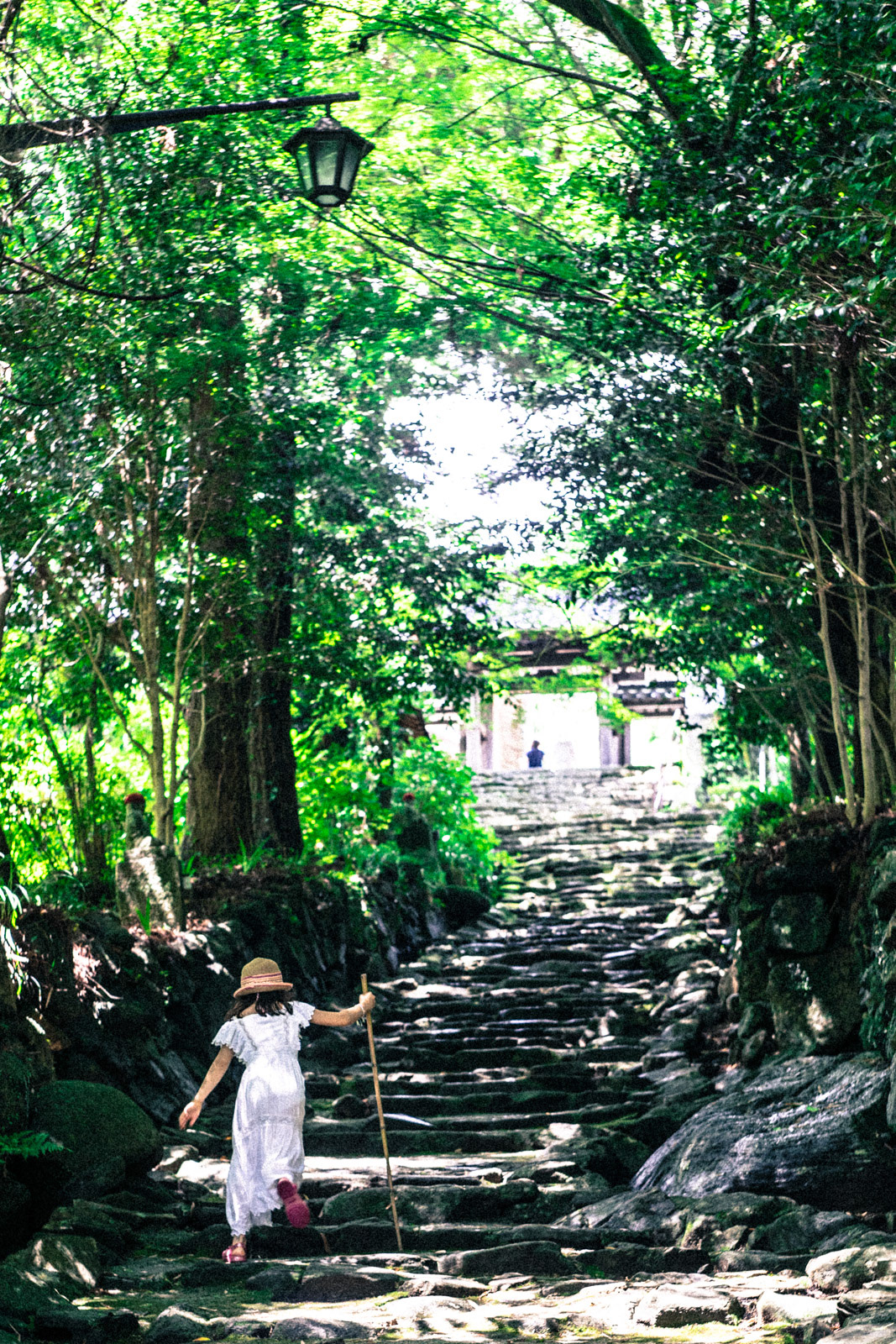 阿弥陀寺 参道