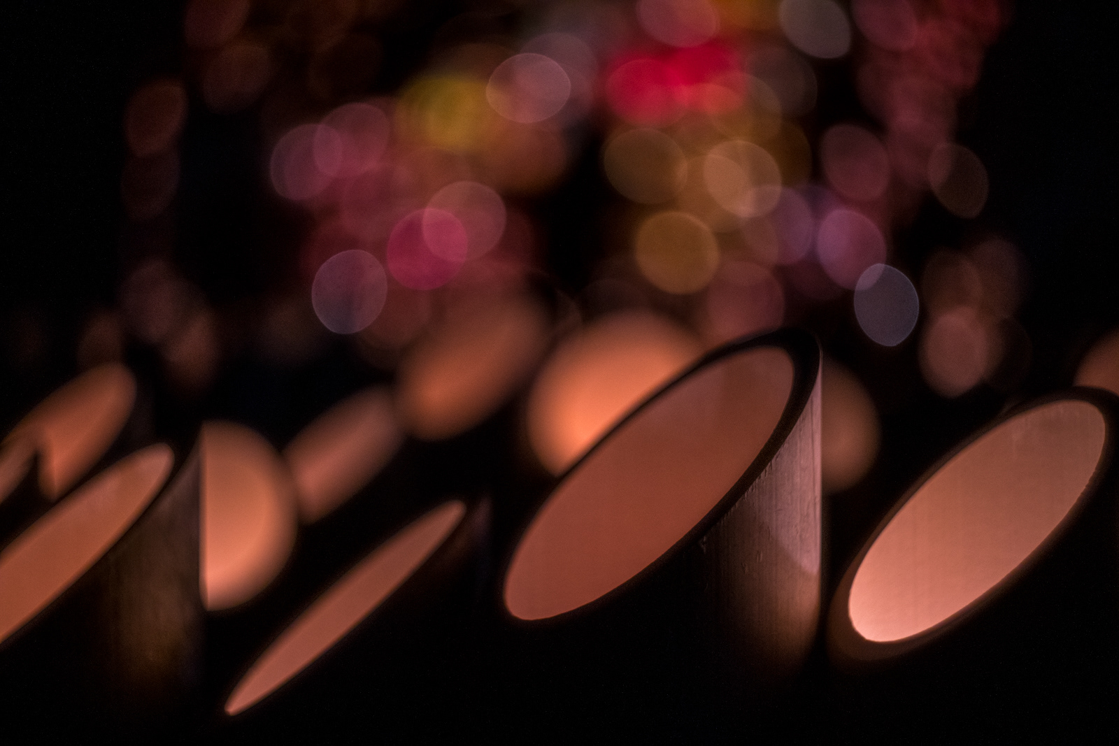 美祢さくら公園 竹の灯篭