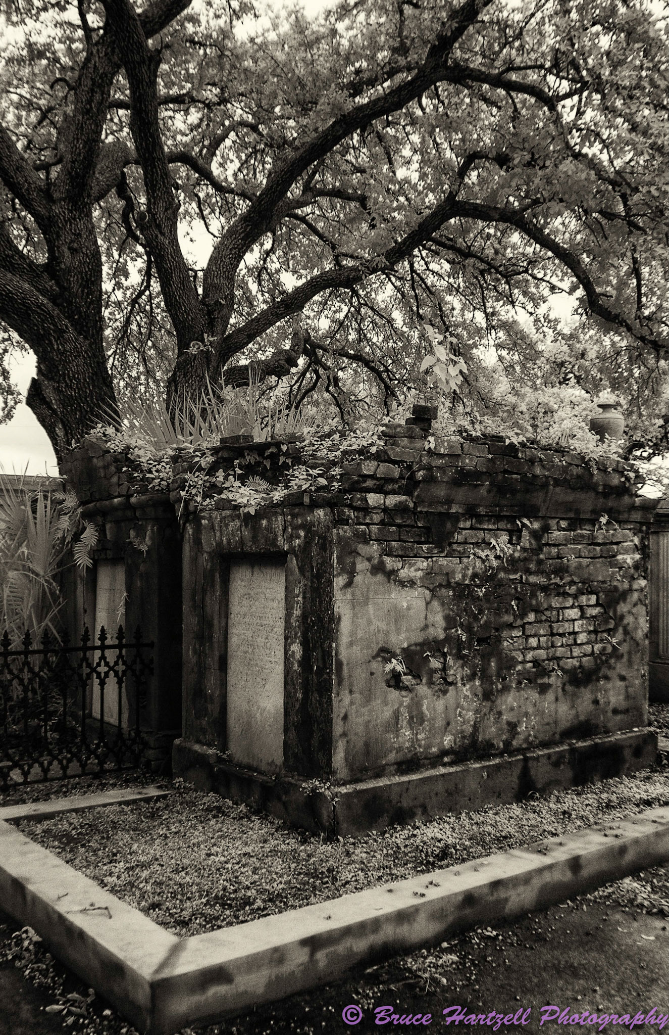 Oddfellows Cemetery, New Orleans, Louisiana. Infrared. PS, LR, Silver Effects Pro adjustments. See and share more like this at:  http://aayyeeee.myportfolio.com