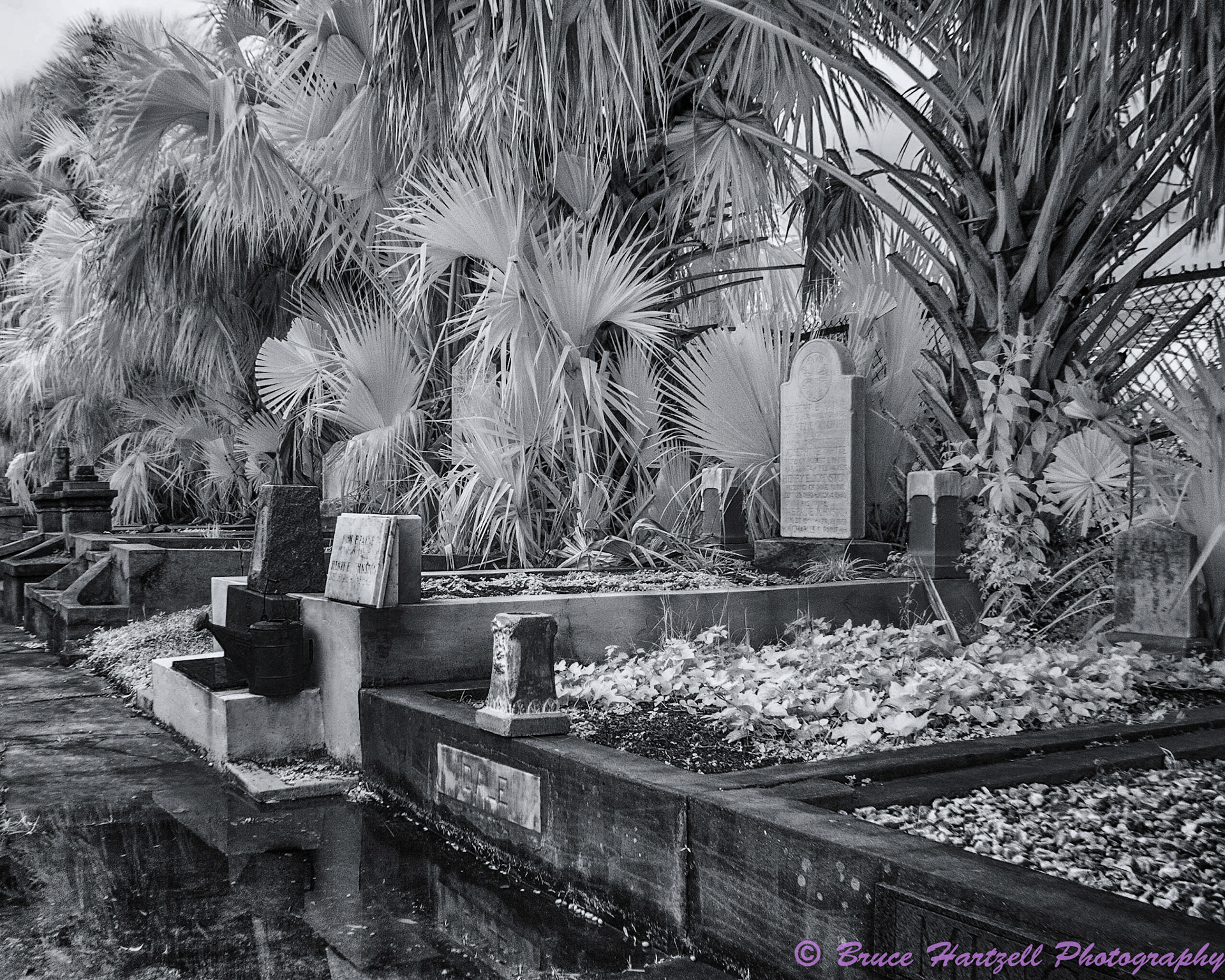 Oddfellows Cemetery, New Orleans, Louisiana. Infrared. PS, LR, Silver Effects Pro adjustments. See and share more like this at:  http://aayyeeee.myportfolio.com