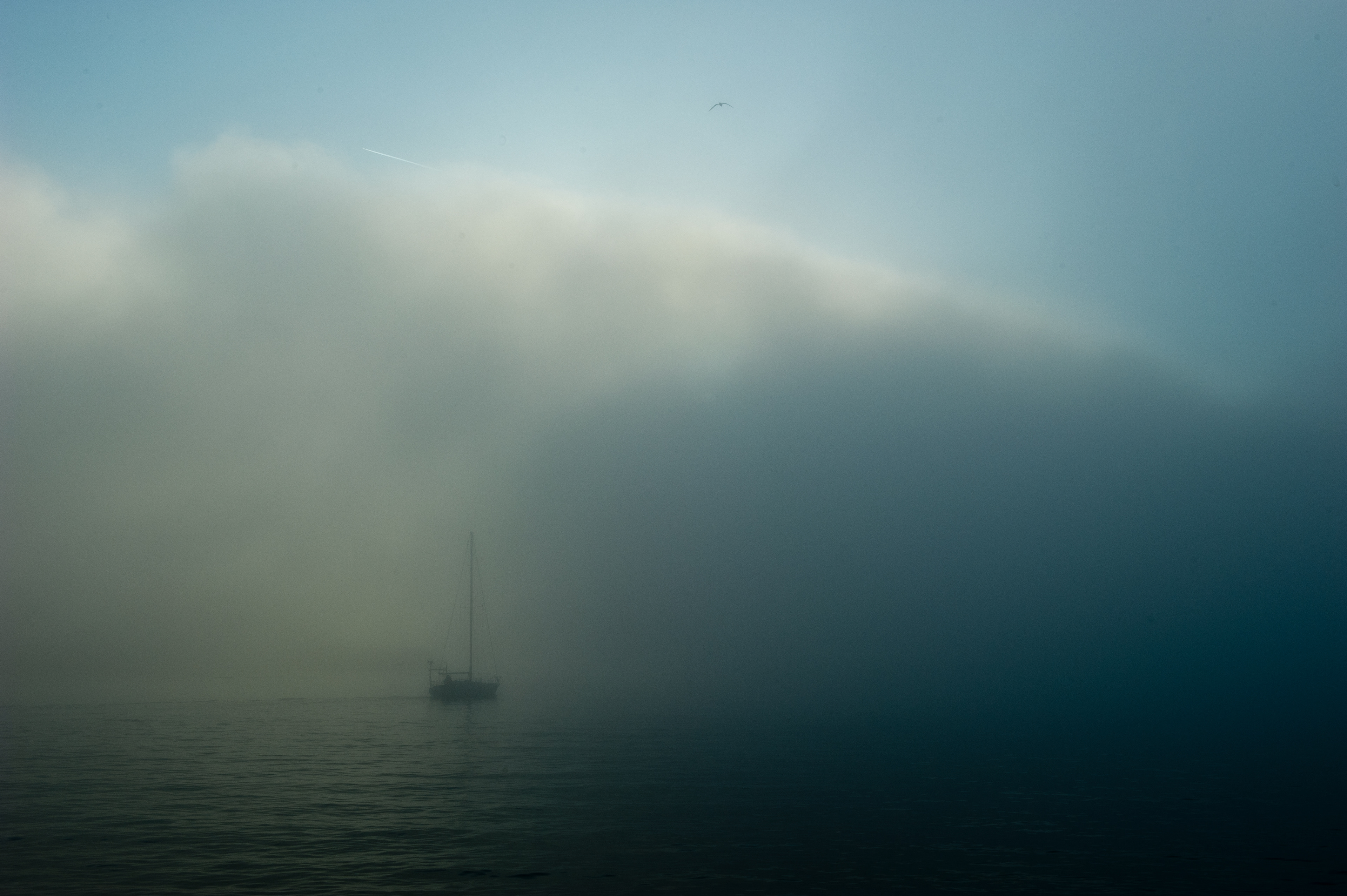 Laurent Teyssier photos