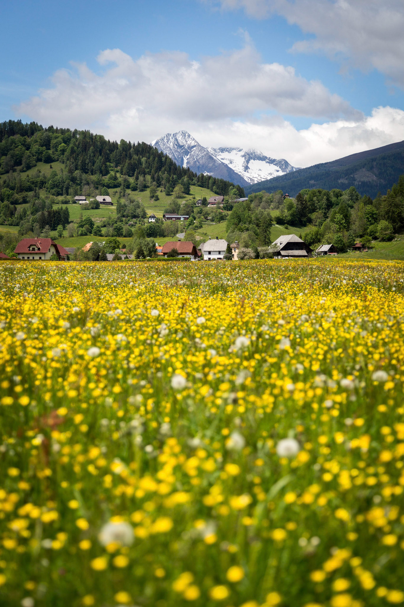 Krakautal / Steiermark