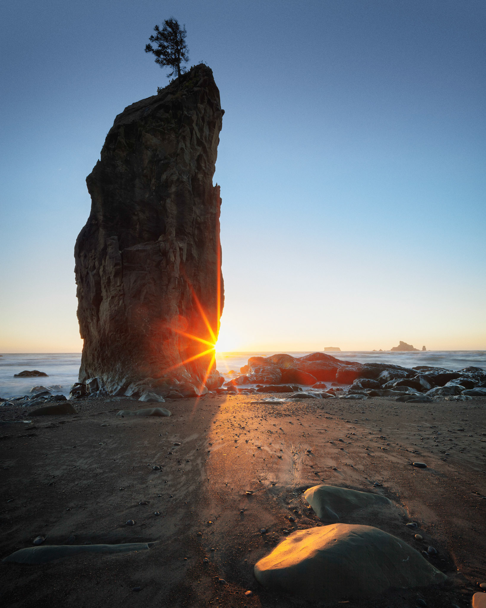 Taken in Olympic National Park, Washington USA