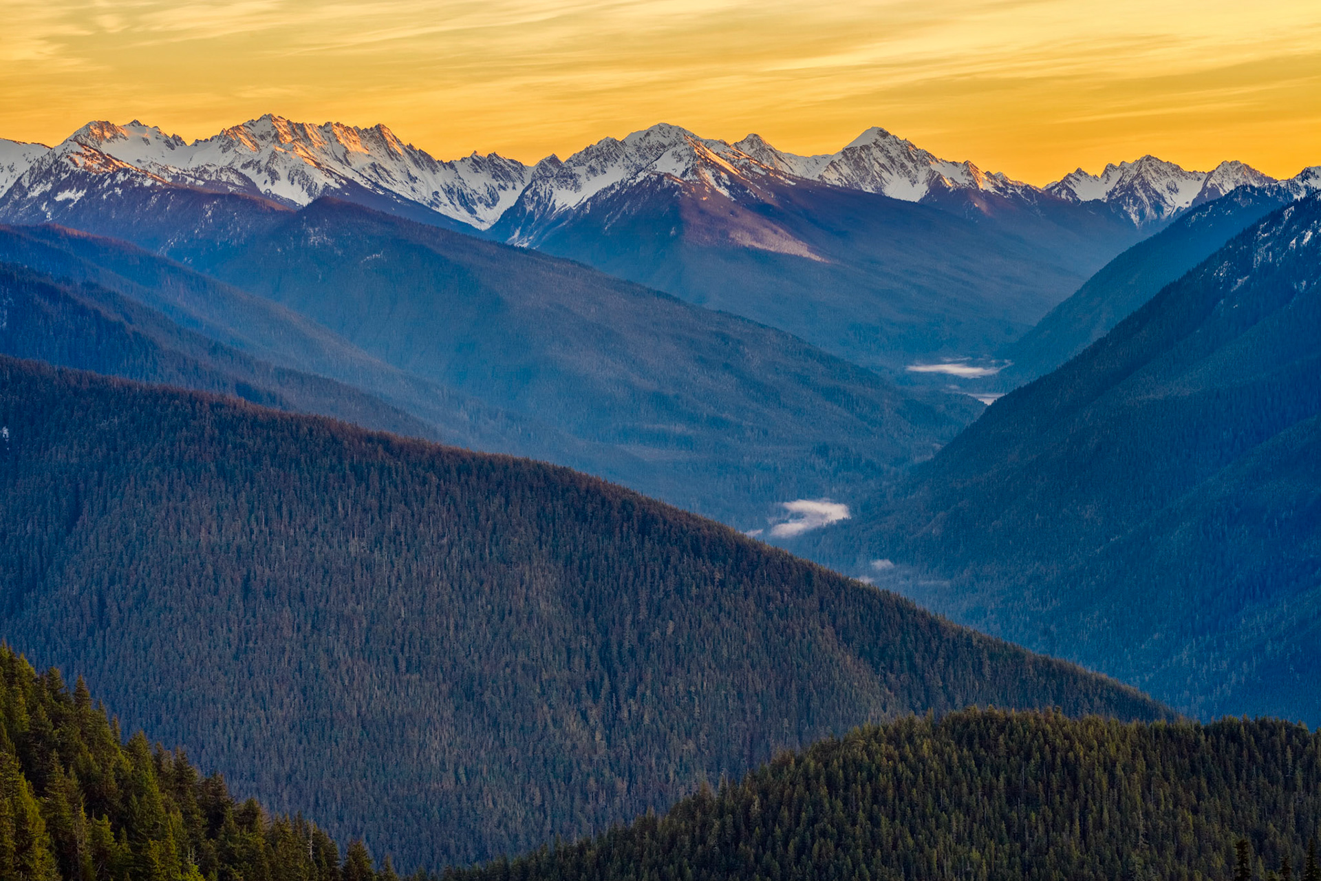 Taken in Olympic National Park, Washington USA
